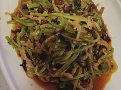 -院8里·少城记忆老川菜(宽窄巷子店)