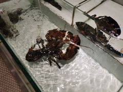 -万龙洲海鲜(大兴绿地缤纷城店)