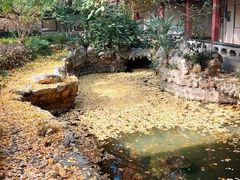 -郑和公园