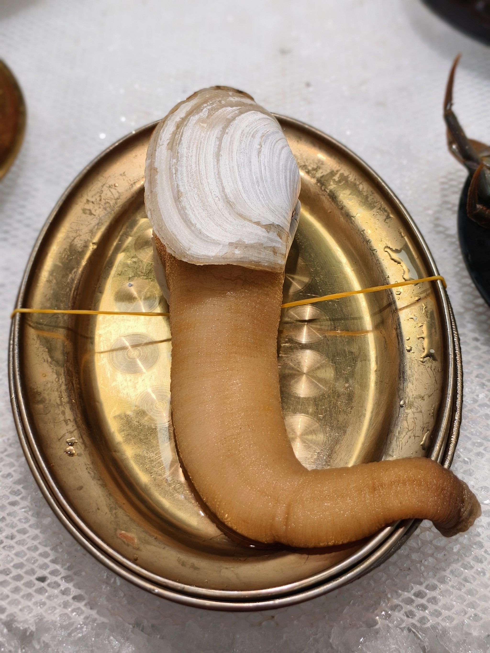 住在万象食家附近的朋友们注意啦!