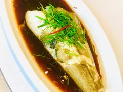 -大柴·宴宾楼(芥园西道店)
