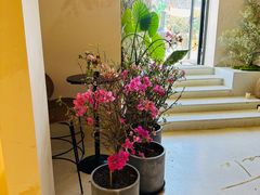 -HUATA 'Holiday Plan 花榻