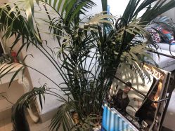 -CP·STUDIO发型工作室