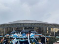 -海合安成都极地海洋公园