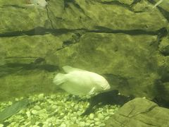 -长春中泰海洋世界