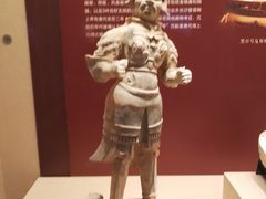 -广西壮族自治区博物馆