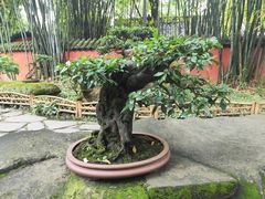 -成都武侯祠博物馆