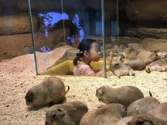 -Mr·Kuma酷么先生雪之乐园
