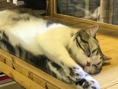 -小时光咖啡馆(开森度假森林店)