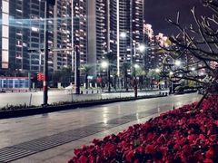 -海沧湾公园