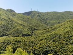 -宁波浙东大竹海景区