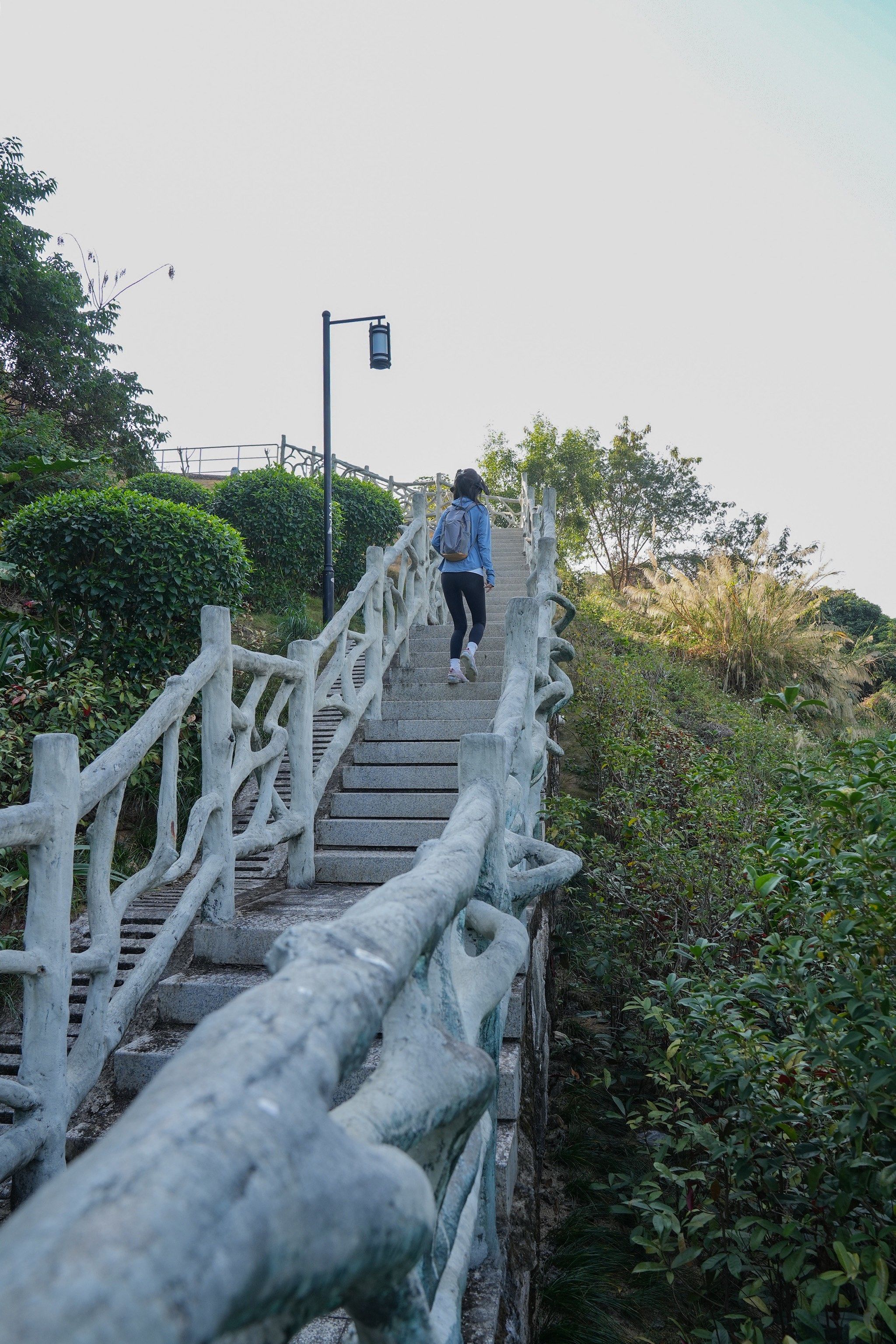 企龙山公园——宝安版"绿野仙踪"