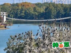 -东湖落雁景区
