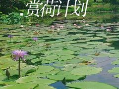 -云溪植物园