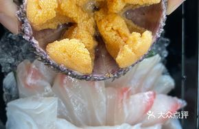 Premium Hokkaido Sea Urchin in Wooden Box