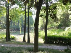 -陈家山荷花公园