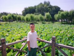 景观位-荷府私房菜