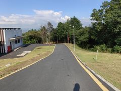 -黄埔油麻山森林公园