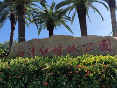 -宝安西湾红树林湿地公园