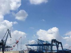 -上海长兴岛郊野公园