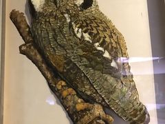 -陕西自然博物馆