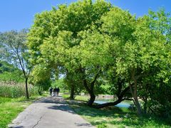 -南北湖风景区