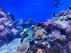 -成都浩海立方海洋公园