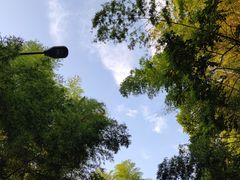 -缙云山景区