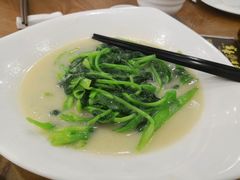 -富豪酒家(正大广场店)