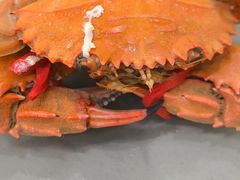 -仙螺岛海鲜自助餐厅(总店)