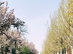 -民园广场
