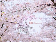 -龙美术馆(西岸馆)