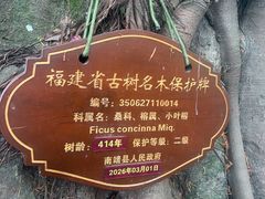 -福建土楼(南靖)景区