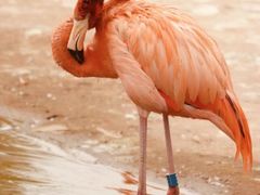 -鄂尔多斯野生动物园