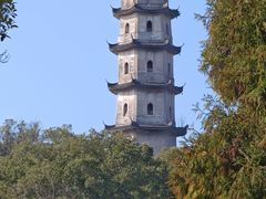 -江心屿景区