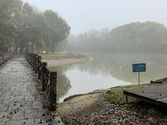 -象山森林公园