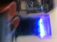 -阿莱唛唛泰国菜·海鲜餐厅(蛇口店)