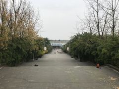 -三圣花乡旅游区