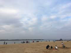 -瑶湖郊野森林公园