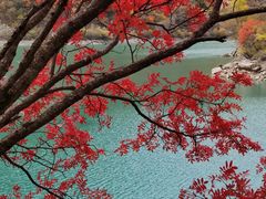 -叠溪松坪沟景区