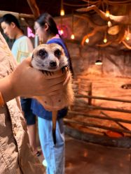 -Zoolung Zoolung动物主题公园(海信广场店)