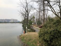 -洋湖国家湿地公园