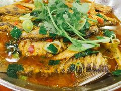 -全乐鱼馆·淳牌有机鱼直营店
