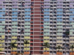 -彩虹村