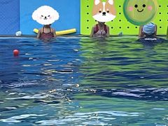 -龙格亲子游泳•水育早教运动中心