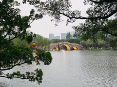 -江心屿景区