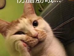 -GMJ·24H健身房(四川北路店)