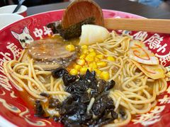 鲜熬豚骨地狱拉面-仙隐小鹿中华料理(南宁万象城店)