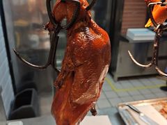 -海派美食·家宴海鲜青岛菜·石锅鲽鱼头(东方城店)