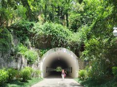 -深圳国际园林花卉博览园